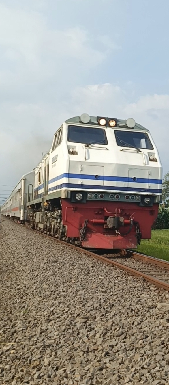 CC 203 02 03/CC 203 40 SDT