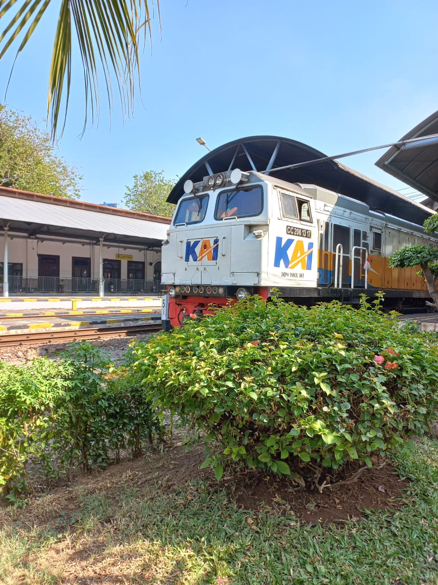 CC206 13 17