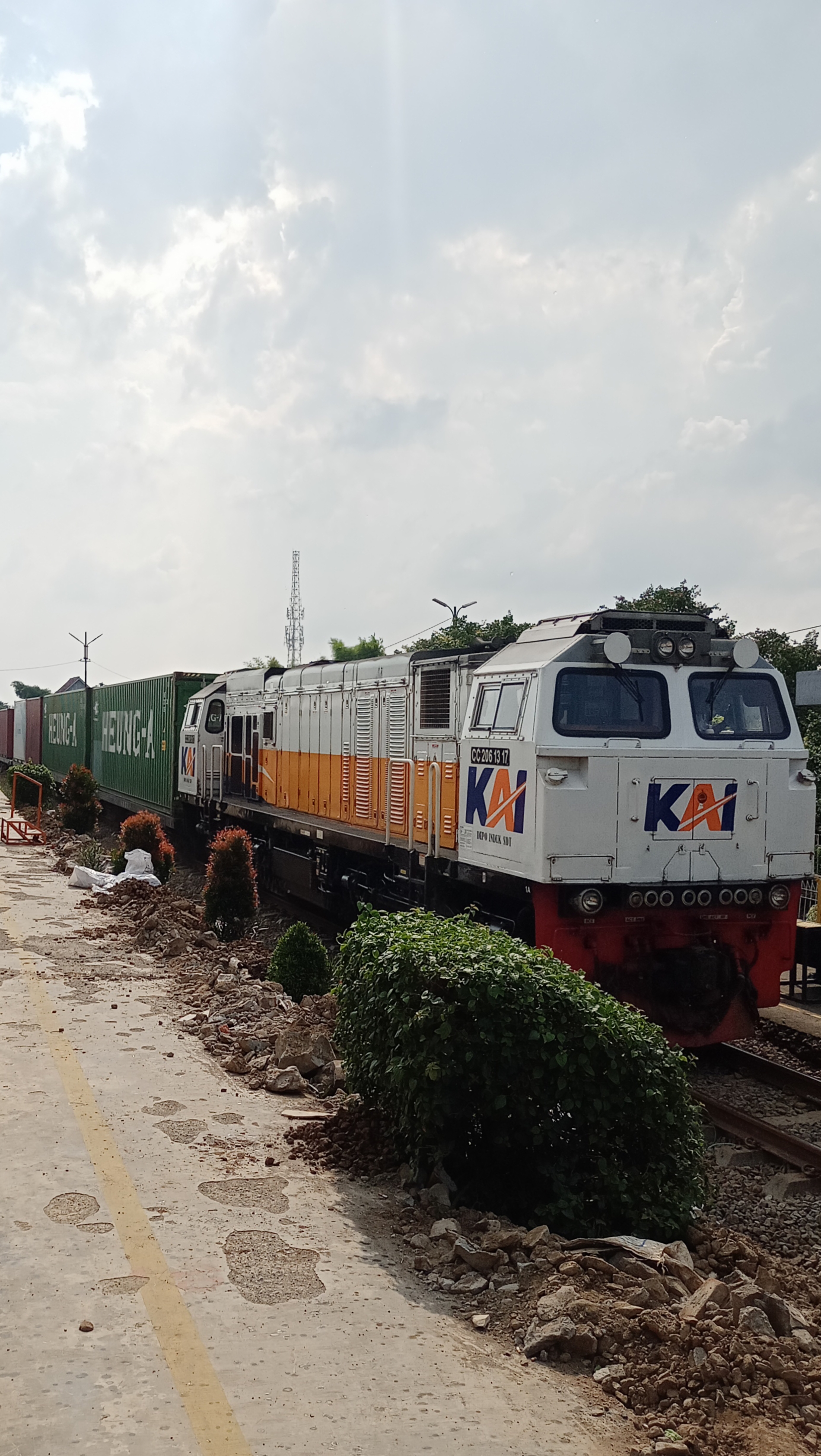 CC 206 13 17 SDT