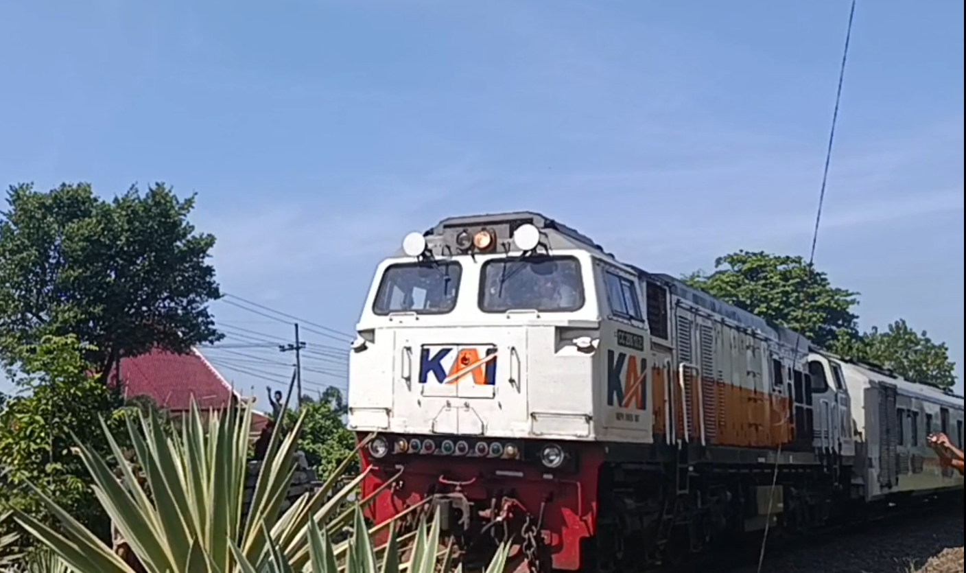 1000348541.jpg