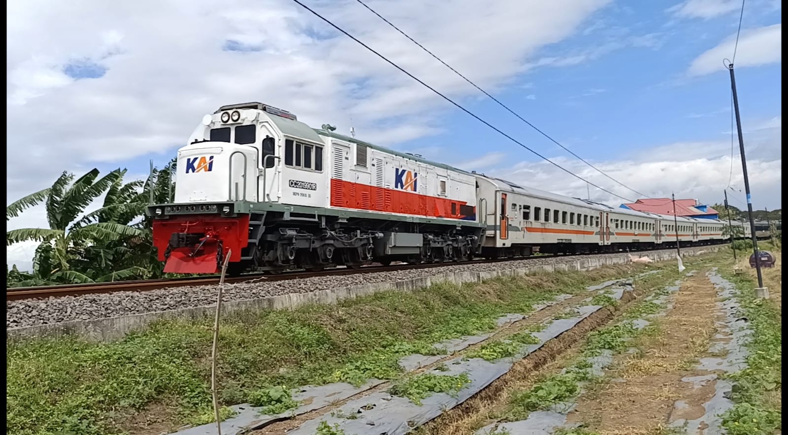 CC 201 99 01R