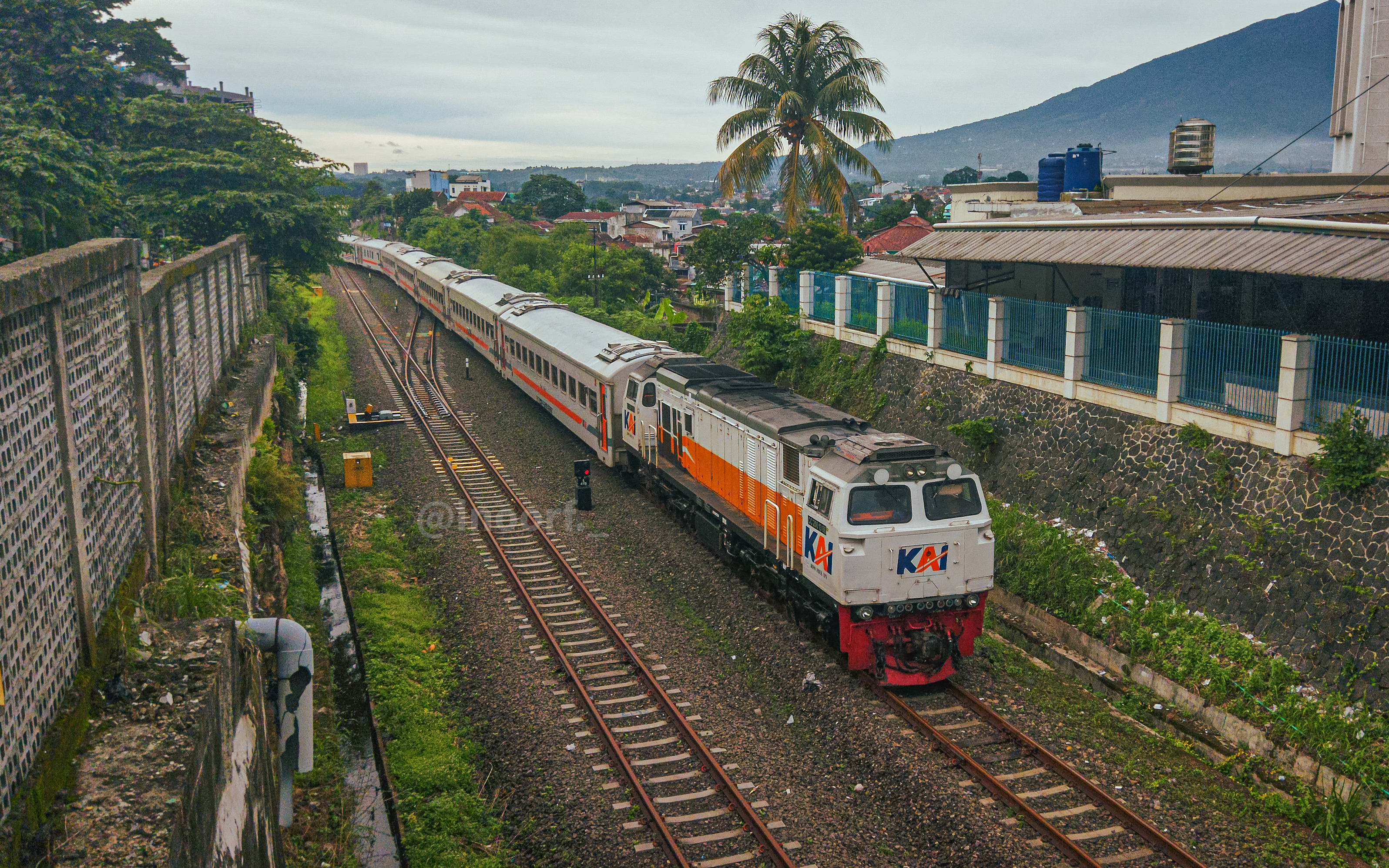 CC 206 13 88 CPN Paledang