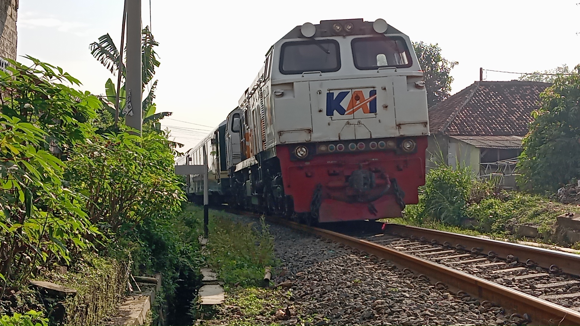 KA papandayan (130)