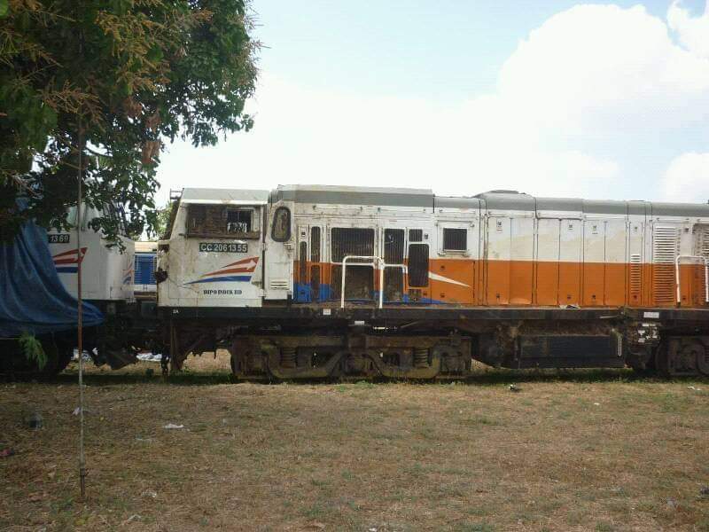 di kebun byyk