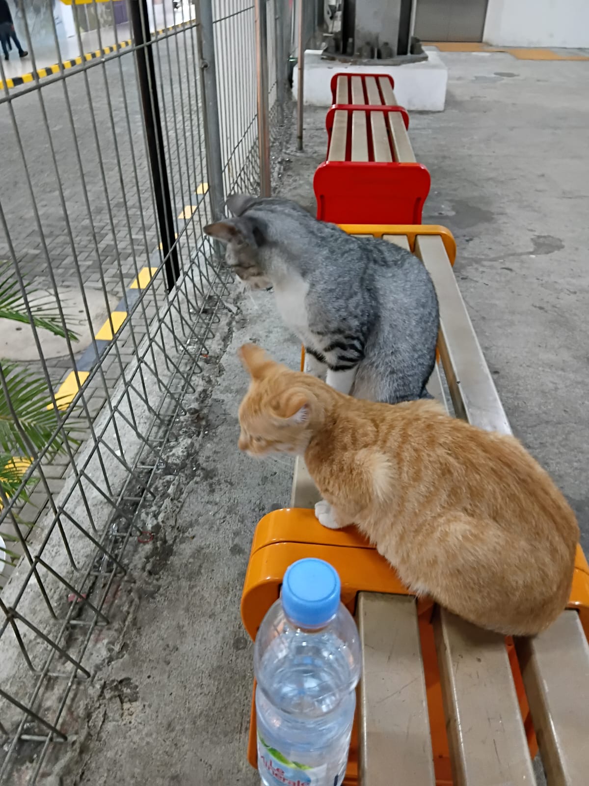 Tempat duduk di Stasiun Pondok Cina.